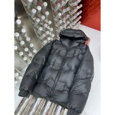 Louis Vuitton Down Jackets